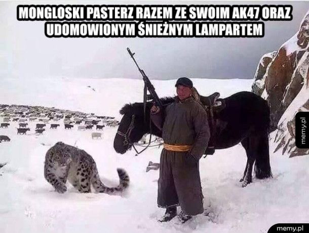 Typowy mongolski pasterz