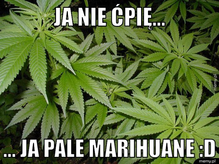 Ja nie ćpię... ... Ja pale marihuane :D
