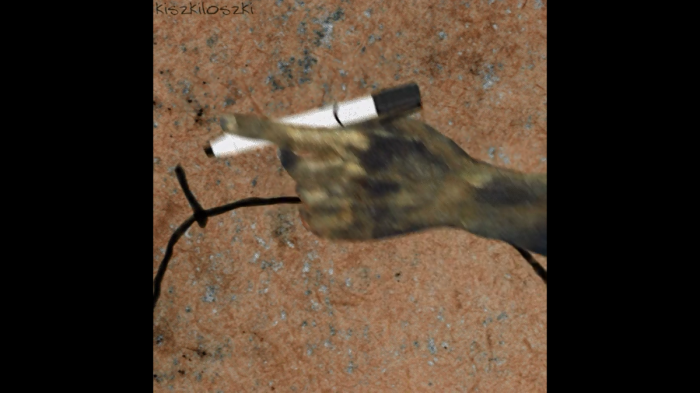 swieta