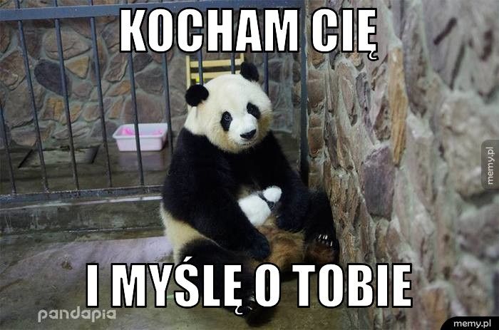 kocham cię i myślę o tobie