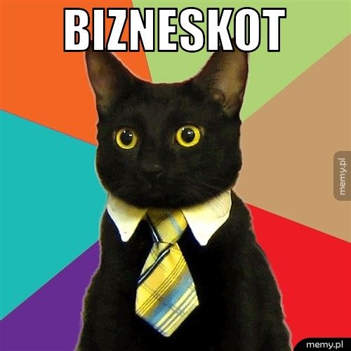 bizneskot