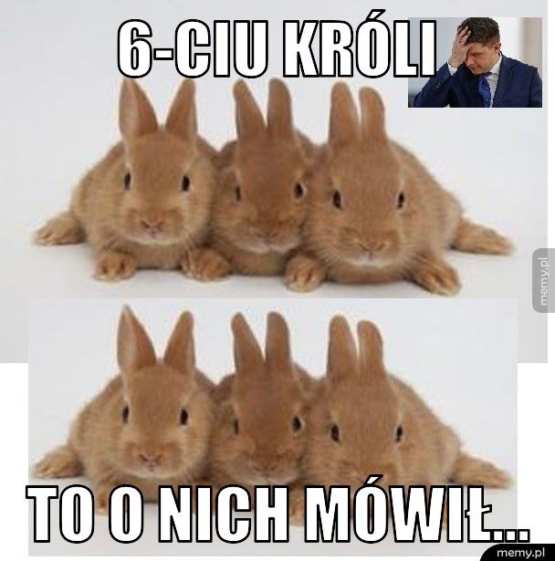 6-ciu króli To o nich mówił...
