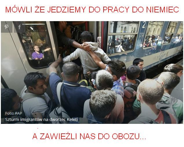 uchodźcy nie pojechali do Niemiec