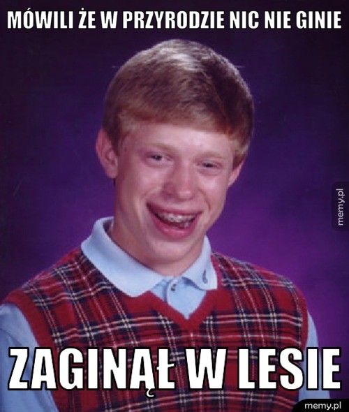 MÓWILI ŻE W PRZYRODZIE NIC NIE GINIE ZAGINĄŁ W LESIE