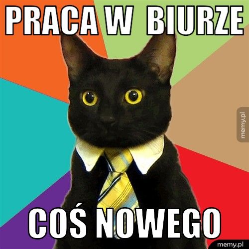 PRACA W  BIURZE COŚ NOWEGO