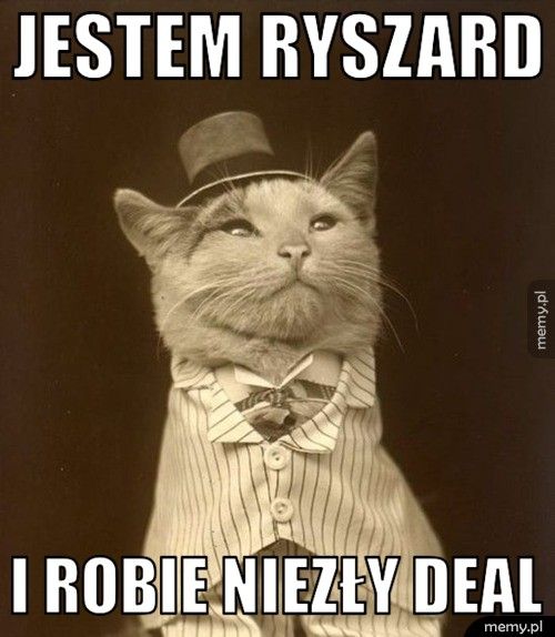 JESTEM RYSZARD I ROBIE NIEZŁY DEAL