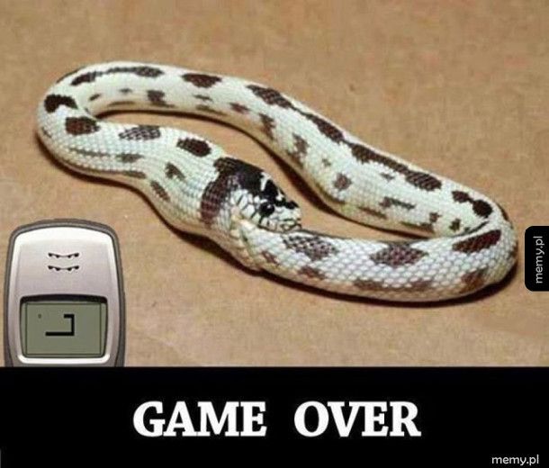 Koniec gry dla węża