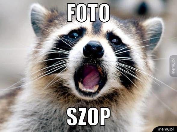 Foto Szop