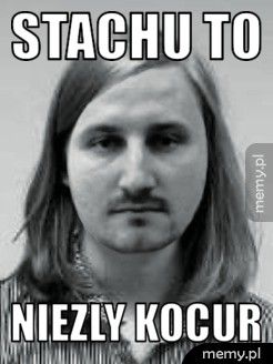 Stachu to Niezly kocur
