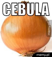 Cebula 