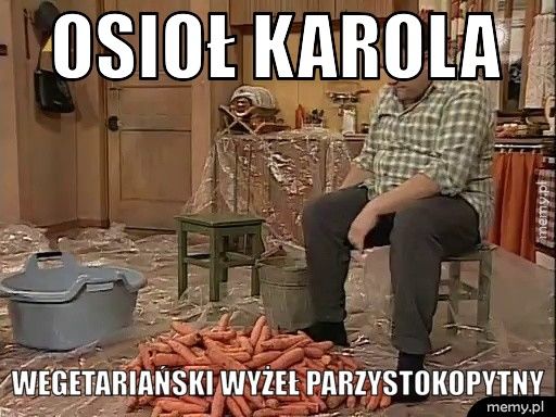 Osioł Karola Wegetariański wyżeł parzystokopytny 