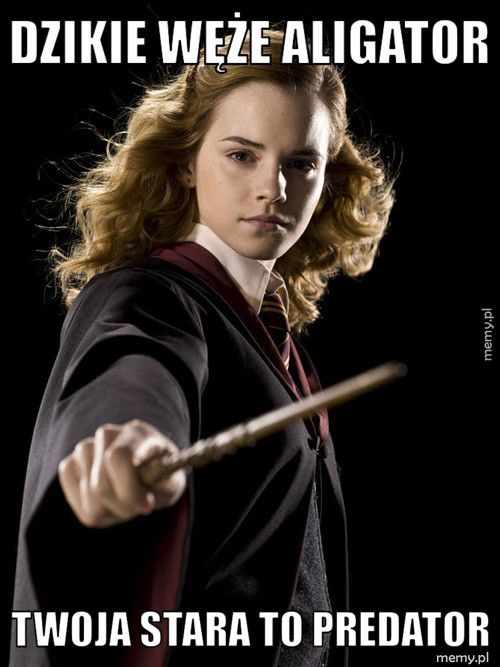 Dzikie węże aligator twoja stara to predator
