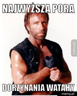 Najwyższa pora dorzynania watahy 