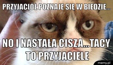 PRZYJACIÓŁ POZNAJE SIĘ W BIEDZIE... NO I NASTAŁA CISZA...TACY TO PRZYJACIELE