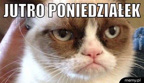 JUTRO PONIEDZIAŁEK