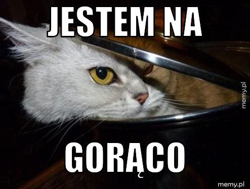 jestem na  gorąco