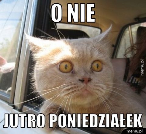 o nie  jutro poniedziałek