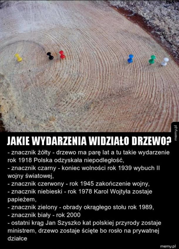 Kawał polskiej historii zapisany w drzewie