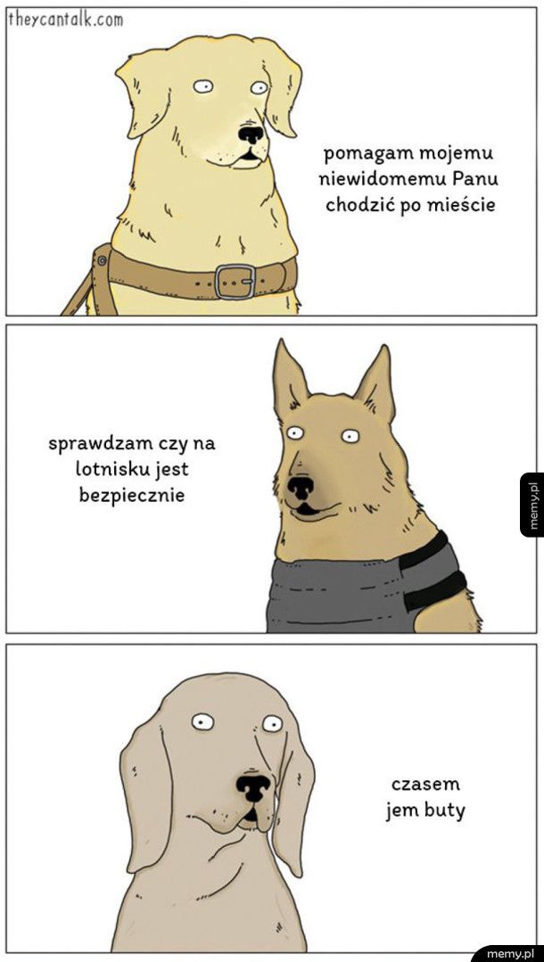 Psy opowiadają o sobie
