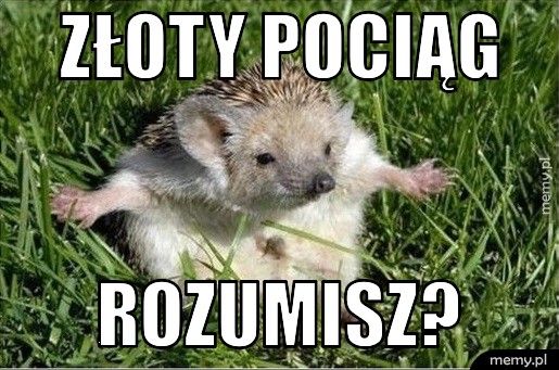 złoty pociąg rozumisz?