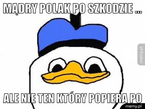 Mądry Polak po szkodzie ... ale nie ten który popiera PO