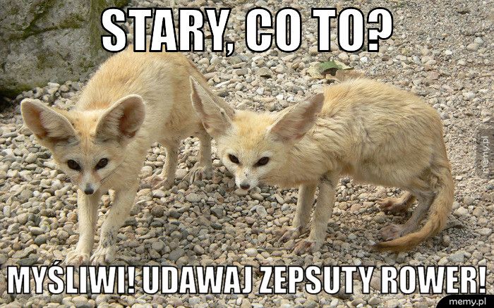 Stary, co to? Myśliwi! udawaj zepsuty rower!