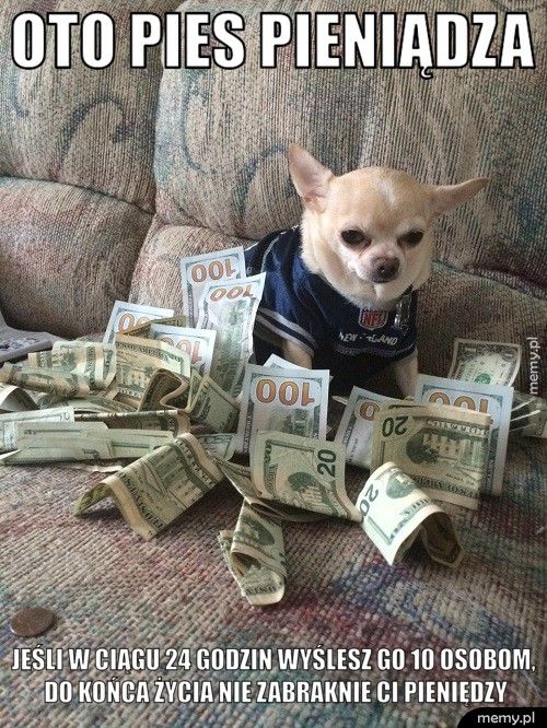 Oto pies pieniądza Jeśli w ciągu 24 godzin wyślesz go 10 osobom, do końca życia nie