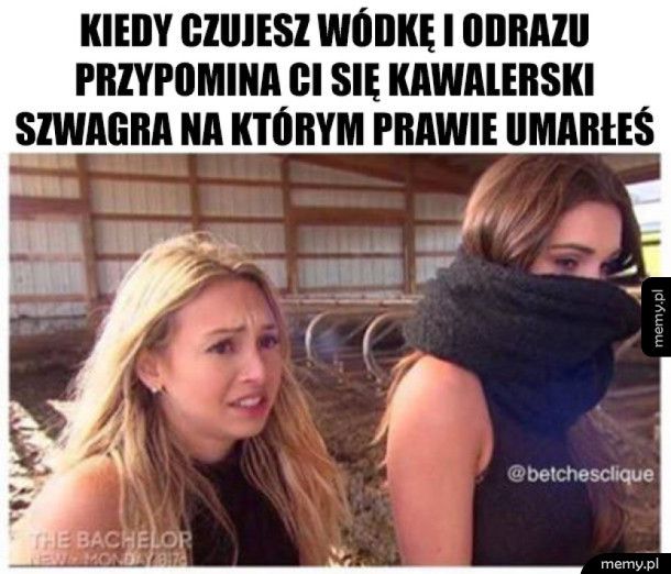 Nigdy więcej...