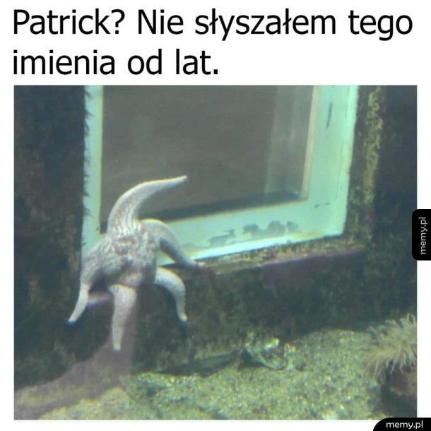 Patrick się trochę zmienił
