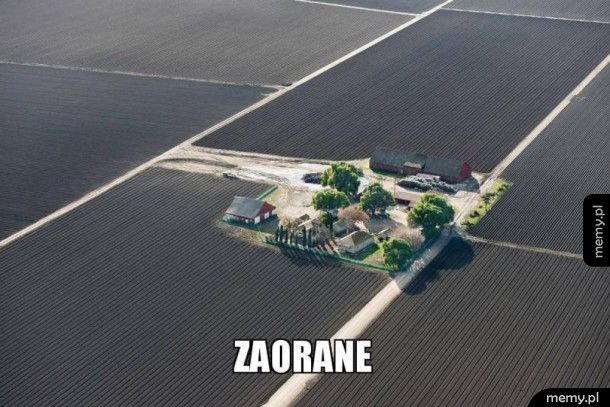 Zaorane