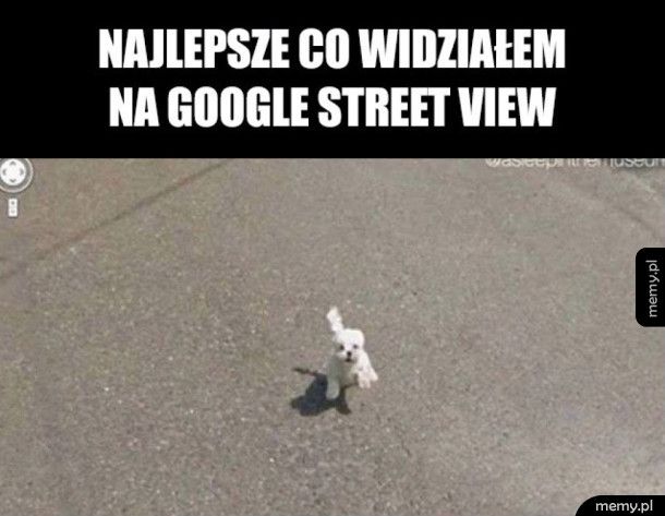 Najlepsze co widziałem na Google Street View