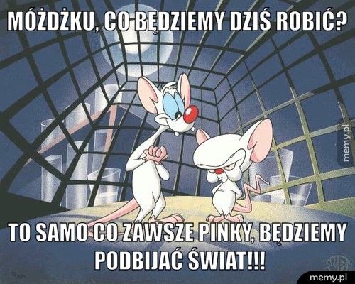 MÓŻDŻKU, CO BĘDZIEMY DZIŚ ROBIĆ? TO SAMO CO ZAWSZE PINKY, BĘDZIEMY PODBIJAĆ ŚWIAT!!!