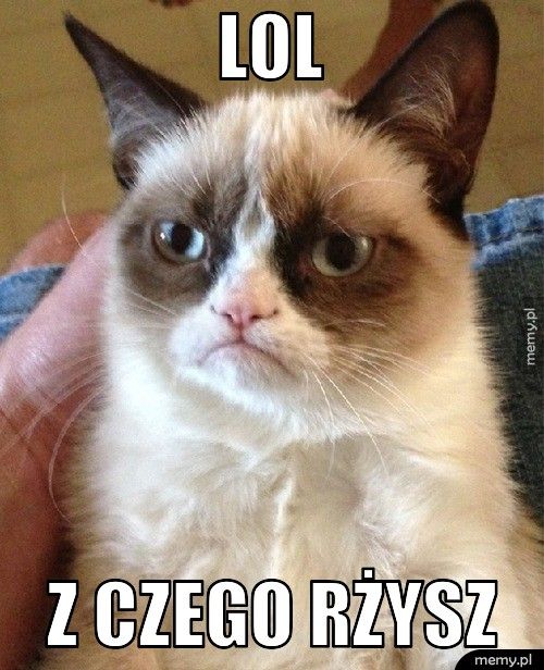 Lol z czego rżysz