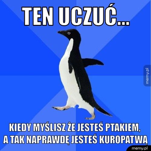 ten uczuć... kiedy myślisz że jesteś ptakiem, a tak naprawdę jesteś kuropatwą