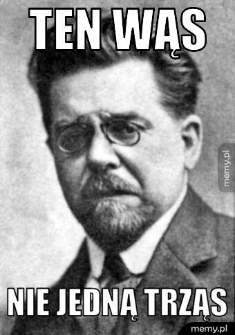 Ten wąs Nie jedną trząs