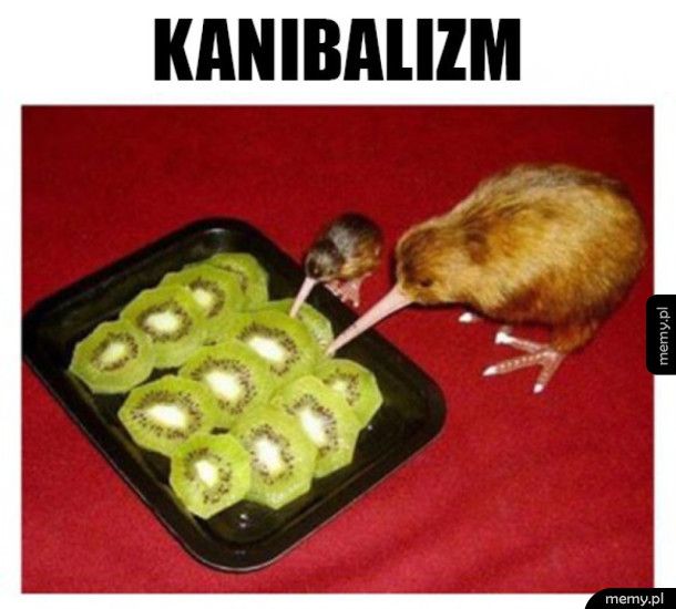 Kanibalizm