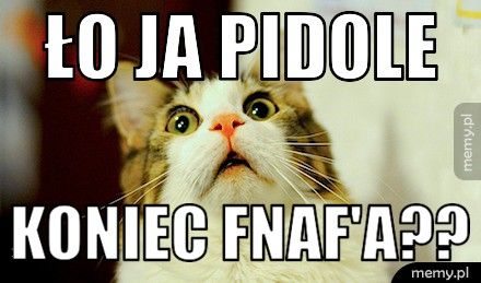 Ło ja pidole Koniec FNAF'A??