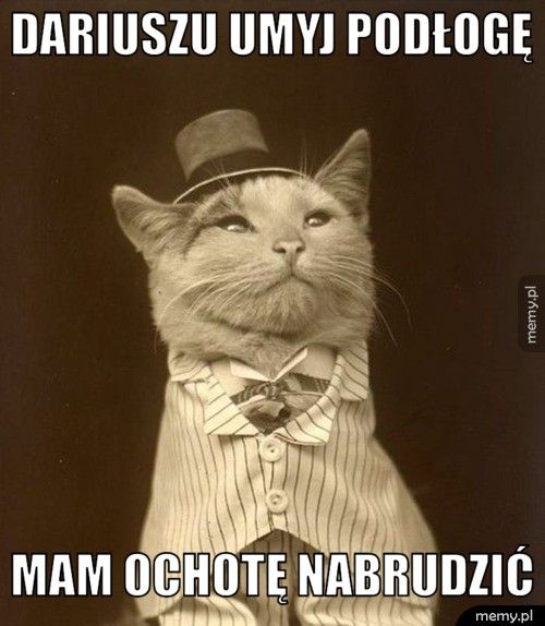 Dariuszu umyj podłogę mam ochotę nabrudzić