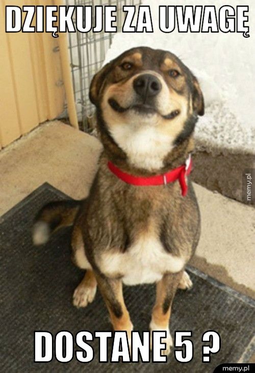 Dziękuje za uwagę Dostane 5 ?
