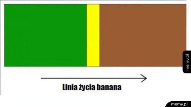 Linia życia banana