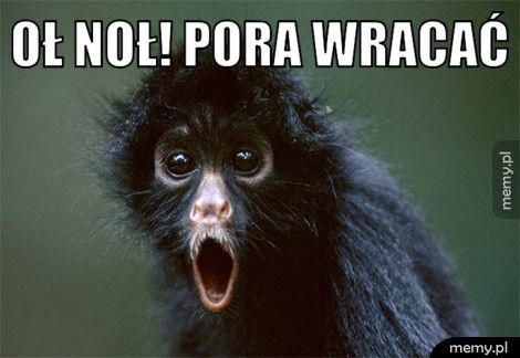 oł noł! pora wracać 