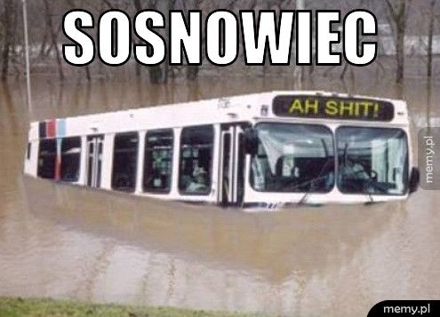 SOSNOWIEC 