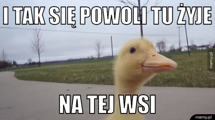 i tak się powoli tu żyje na tej wsi