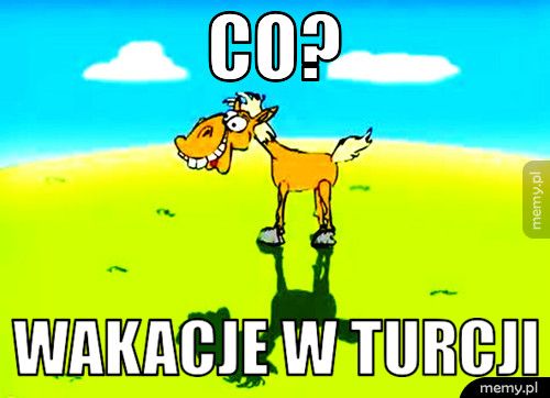 Co? WAKACJE W TURCJI