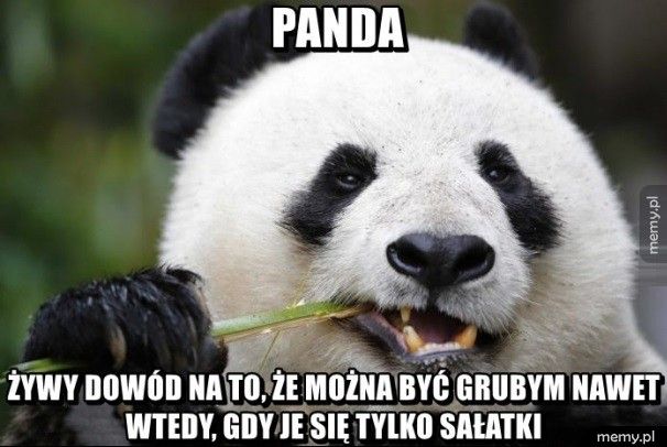       Panda