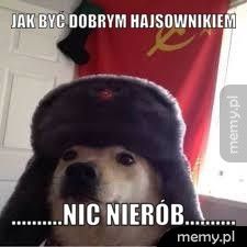 jak być dobrym hajsownikiem ..........nic nierób..........