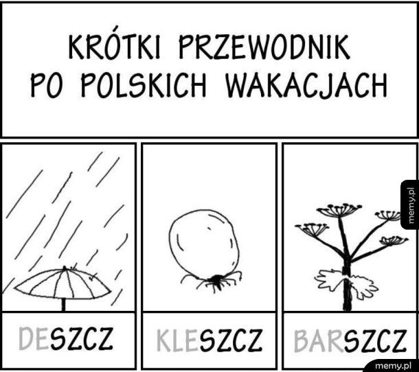 Polskie wakacje