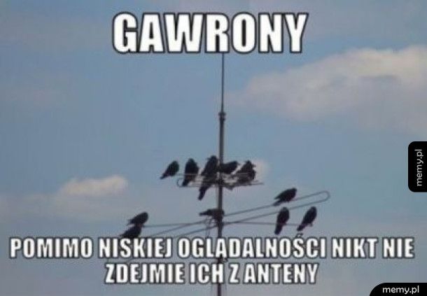 Gawrony