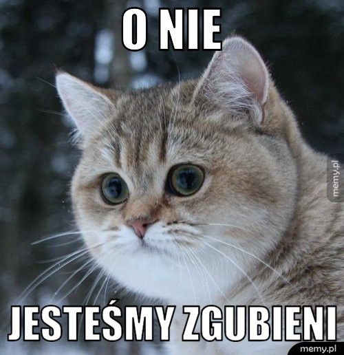 O NIE JESTEŚMY ZGUBIENI
