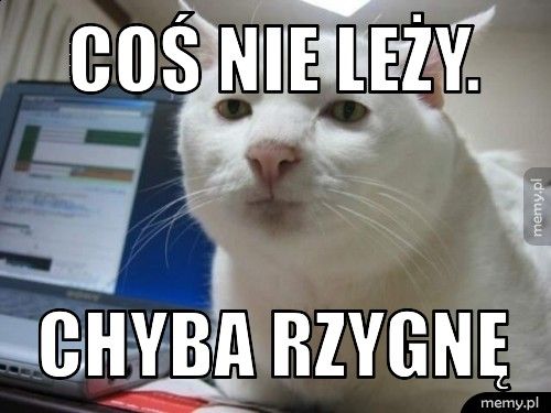 Coś nie leży. Chyba Rzygnę
